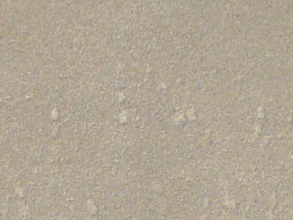 Grey asphalt texture with small indentations in its surface, surrounded by areas of thick brown weeds.